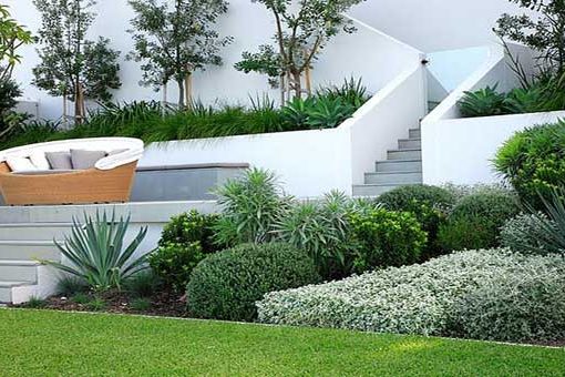 Latest-Landscaping-Trends Latest-Landscaping-Trends