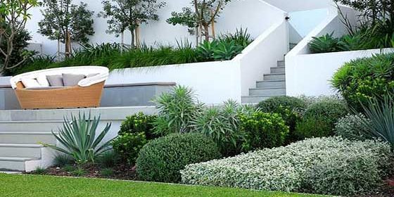 Latest-Landscaping-Trends Latest-Landscaping-Trends