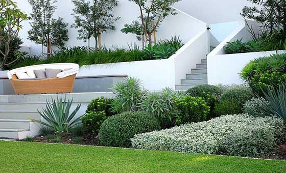 Latest-Landscaping-Trends Latest-Landscaping-Trends