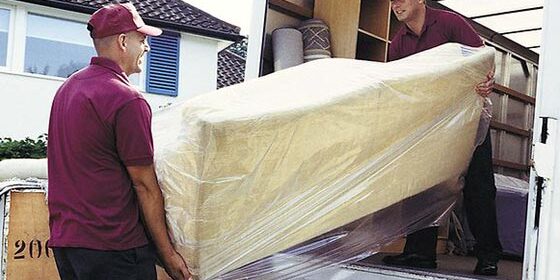 removalists removalists