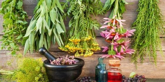 Beautify Your Skin Beautify Your Skin