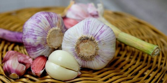 A Bug In The Dark A Bug In The Dark