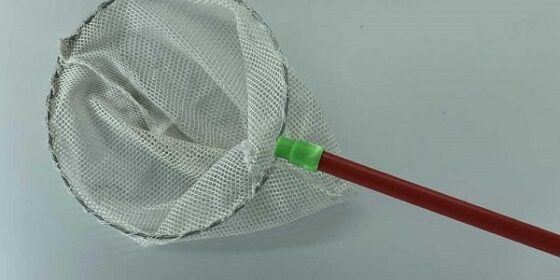 4 Unusual And Fun Ways A Net Can Be Used 4 Unusual And Fun Ways A Net Can Be Used