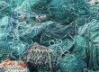 The History Of Nets