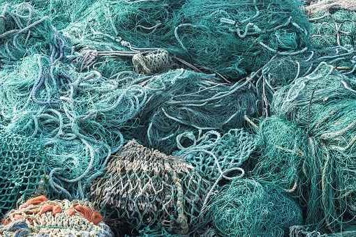 The History Of Nets The History Of Nets