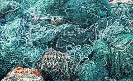 The History Of Nets The History Of Nets