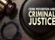 Important Points You Should Be Aware Of Before You Plead Guilty To A Crime