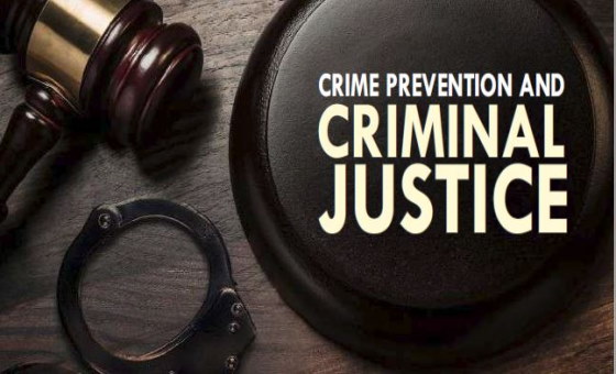 Important Points You Should Be Aware Of Before You Plead Guilty To A Crime